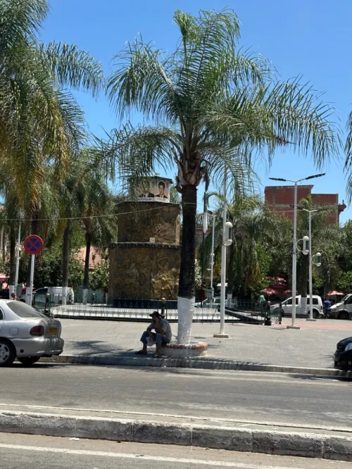 Vente Local Alger Reghaia