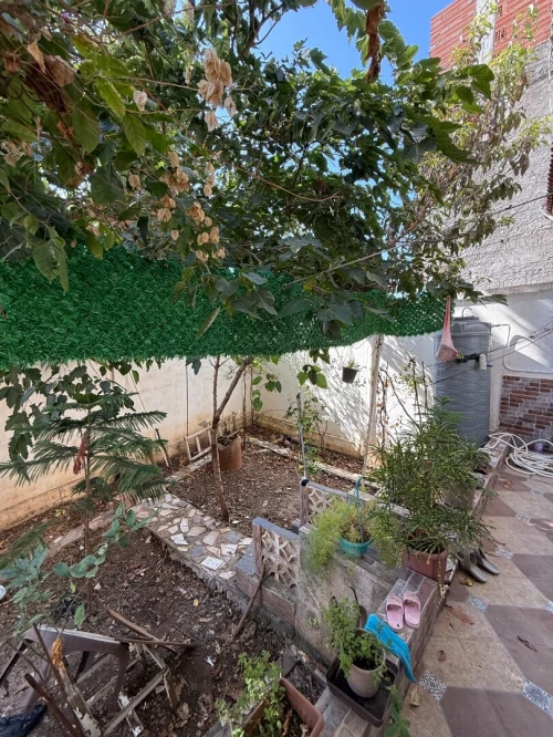 Location Villa Alger Bordj el kiffan