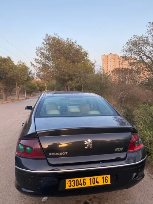 Peugeot 407 2004 407