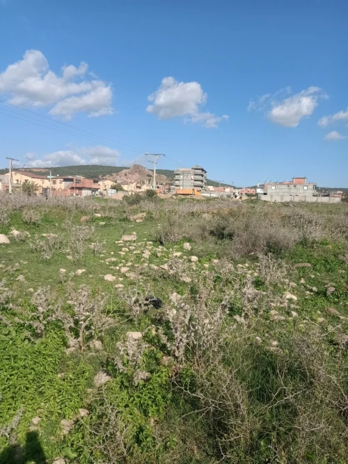 Vente Terrain Annaba Sidi amar