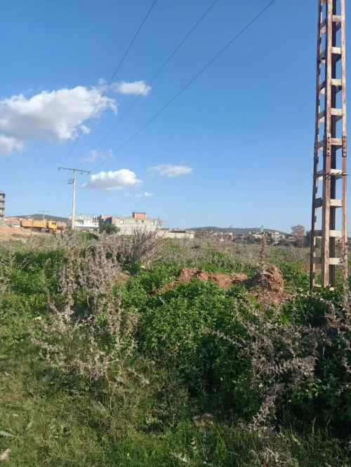 Vente Terrain Annaba Sidi amar