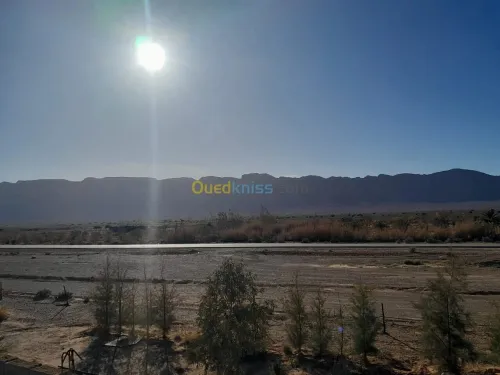 Vente Terrain Béchar Bechar