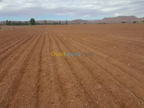 Vente Terrain Béchar Bechar