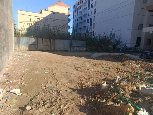 Vente Terrain Alger Bordj el kiffan