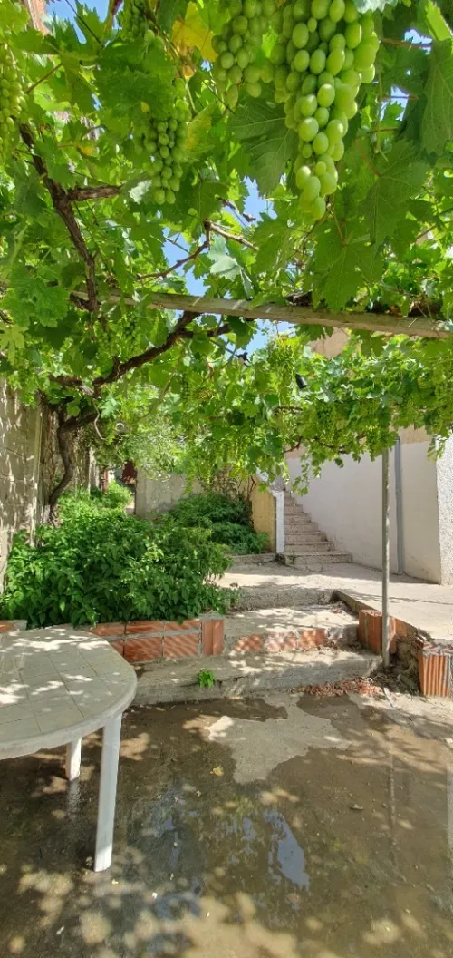 Location Bungalow Boumerdes Djinet