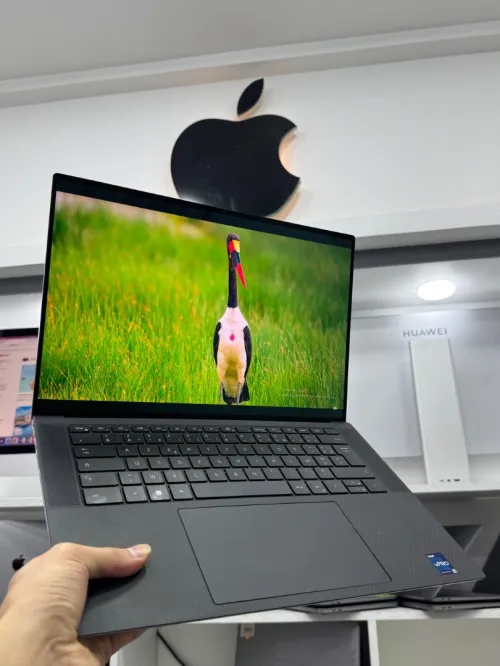 DELL XPS 