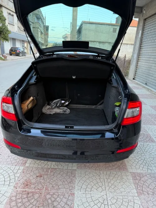 Skoda Octavia 2014 Ambiente
