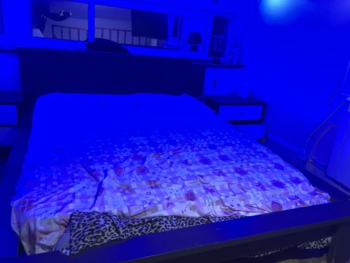 Location Appartement F2 F3 Alger Alger centre