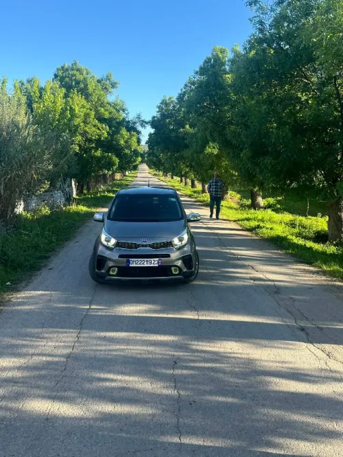 Kia Picanto 2019 ixln