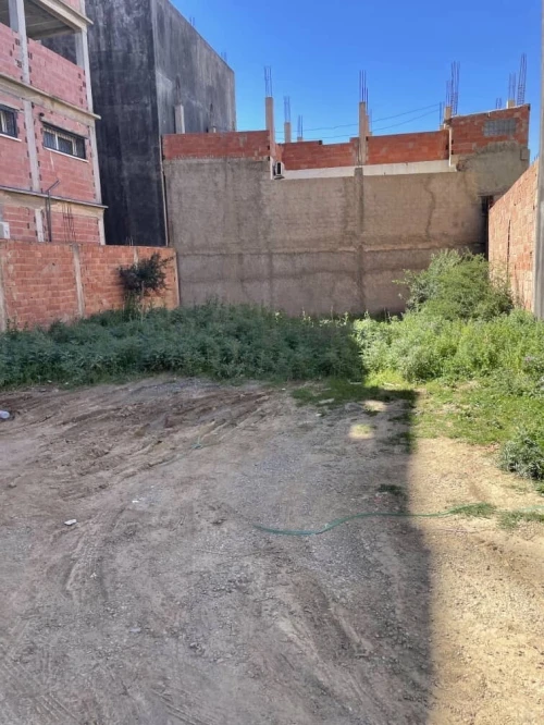 Vente Terrain Blida Blida