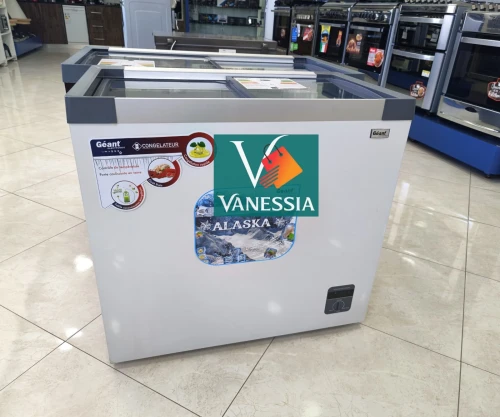 Congélateur vitré 254L marque Géant