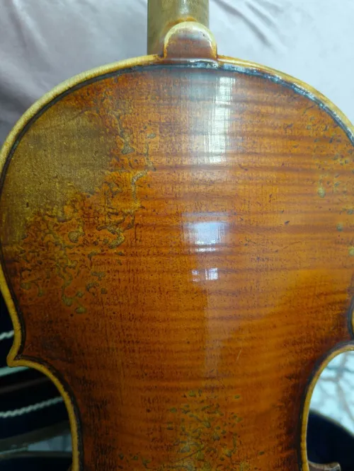 Violon authentique Français 