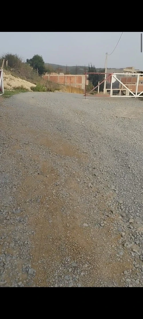 Vente Terrain Boumerdès Tidjelabine