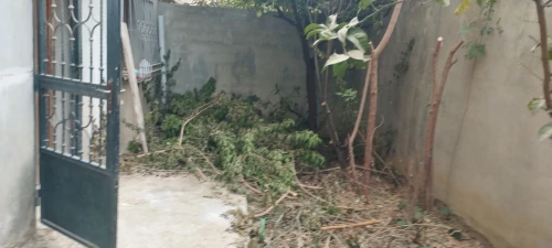 Vente Villa Alger Rouiba