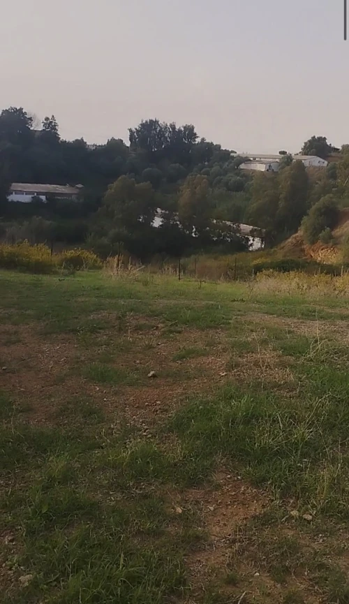Vente Terrain Boumerdès Tidjelabine