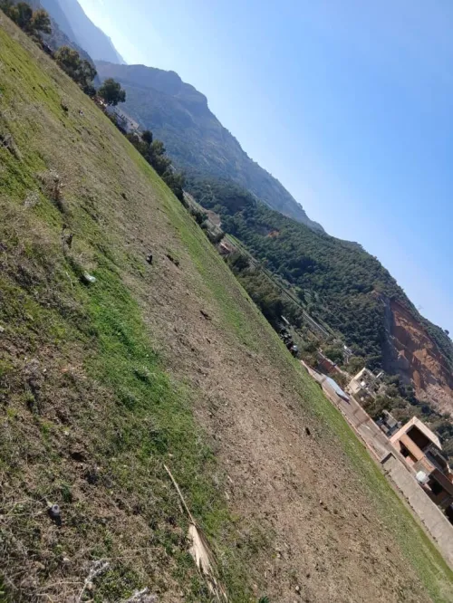 Vente Terrain Blida Hammam melouane