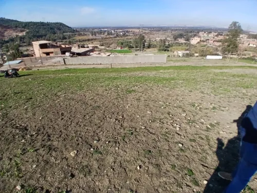 Vente Terrain Blida Hammam melouane
