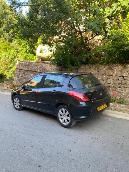 Peugeot 308 2008 Platinum 