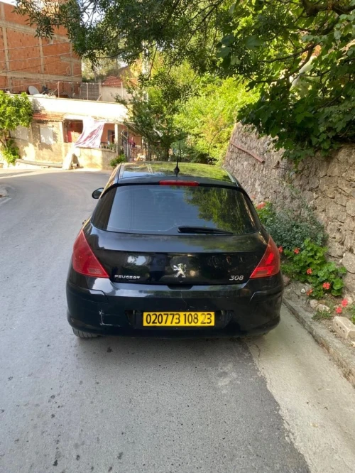 Peugeot 308 2008 Platinum 