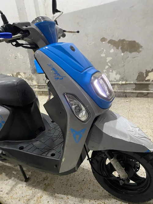 Vms Cuxi estat x 2021