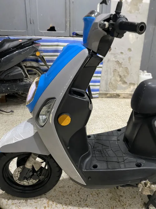 Vms Cuxi estat x 2021