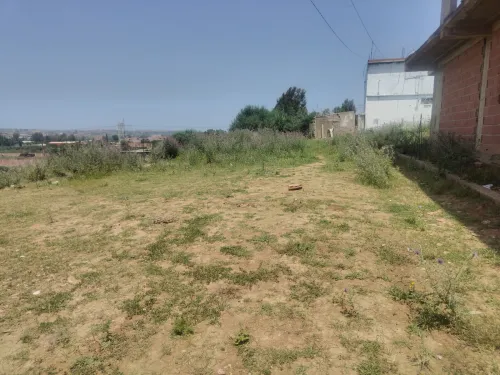 Vente Terrain Boumerdès Boudouaou