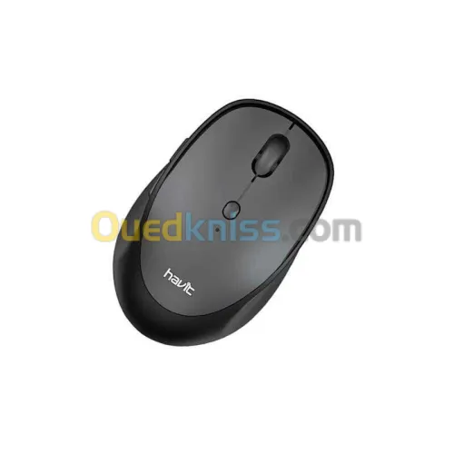 Souris Havit MS76GT plus 