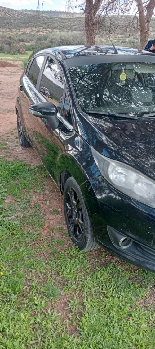 Ford Fiesta 2014 Trend Look