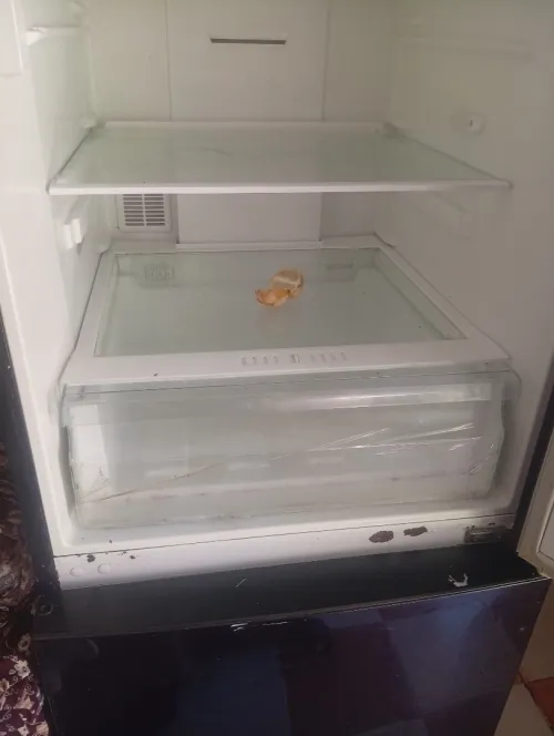 Frigidaire