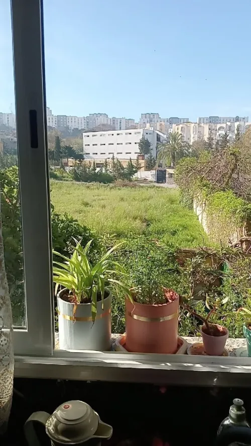 Vente Appartement F4 Alger Ain benian