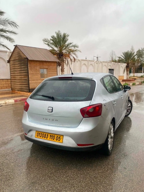 Seat Ibiza 2010 Ibiza