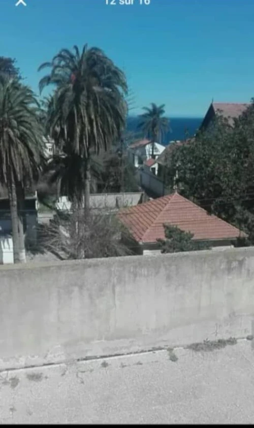 Vente Terrain Alger Ain taya