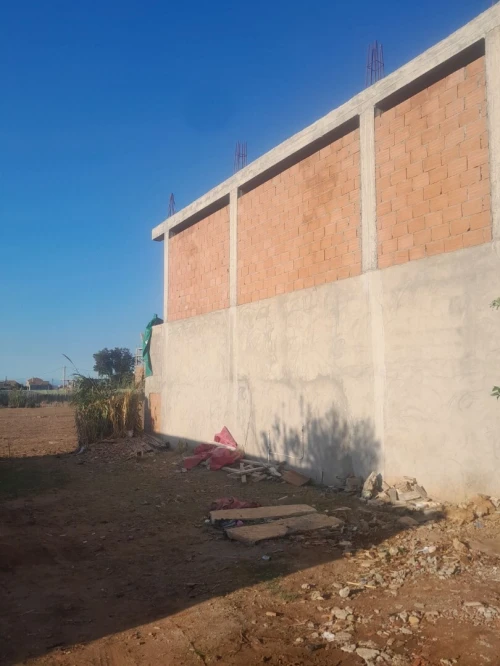Vente Terrain Boumerdès Zemmouri