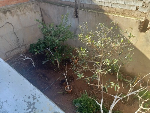Vente Villa Oran Bethioua