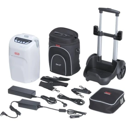 Concentrateur d'oxygène mobile 2L/min