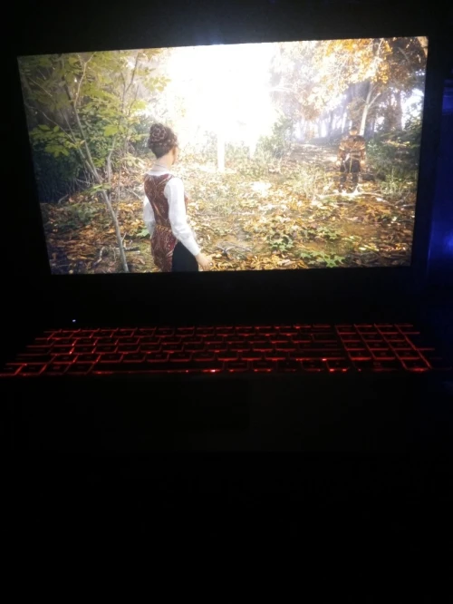 Pc portable HP OMEN Gamer I5-6HQ GTX 950.
