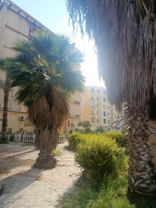 Location Appartement F3 Boumerdès Corso