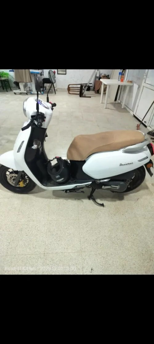 Benelli Panaria 2023
