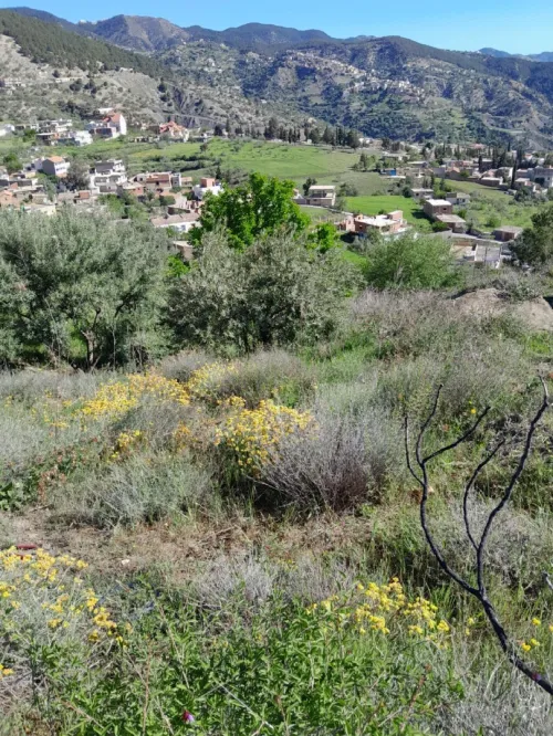 Vente Terrain Bordj Bou Arreridj Colla