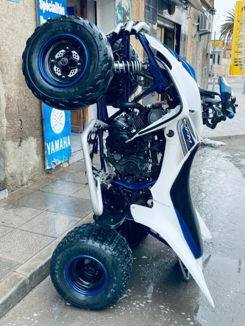 Yamaha Raptor 350 2010