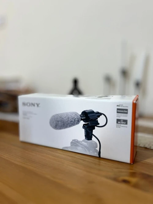 Microphone Sony ECM-CG60