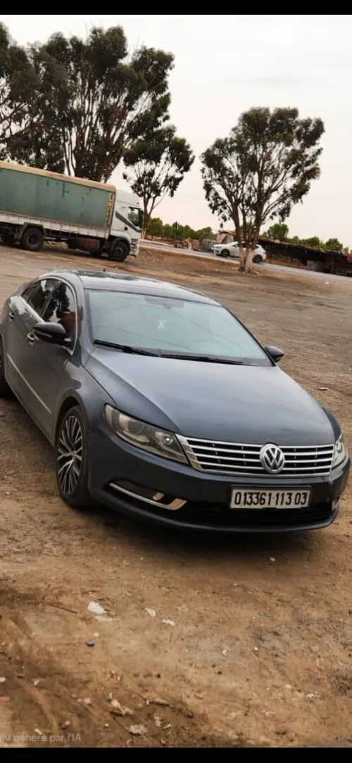 Volkswagen Passat CC 2013 Passat CC