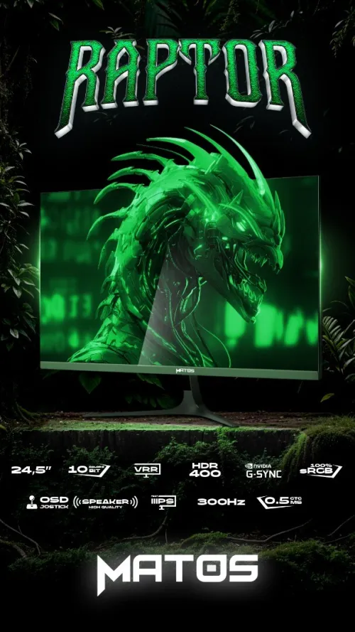 Matos Raptor 24.5'' 300hz Fast IPS 0.5 ms GTG Audio 