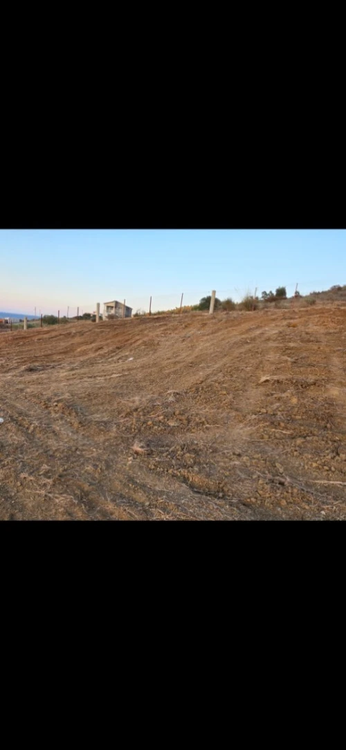 Vente Terrain Tizi Ouzou Azeffoun