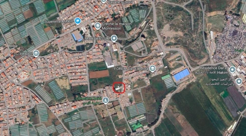 Vente Hangar - Usine Alger Bordj el kiffan
