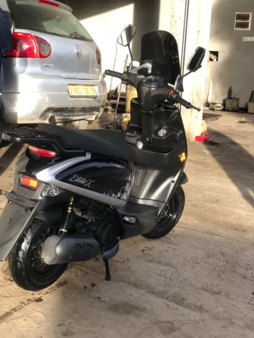 estatex 2025 2025