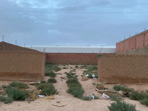 Location Terrain Djelfa Djelfa