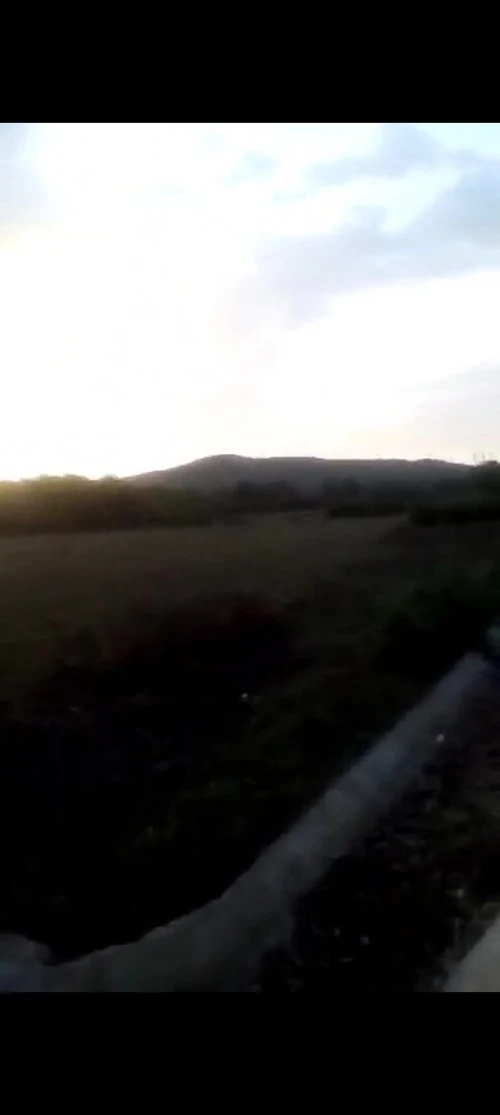 Vente Terrain Agricole El Tarf El kala