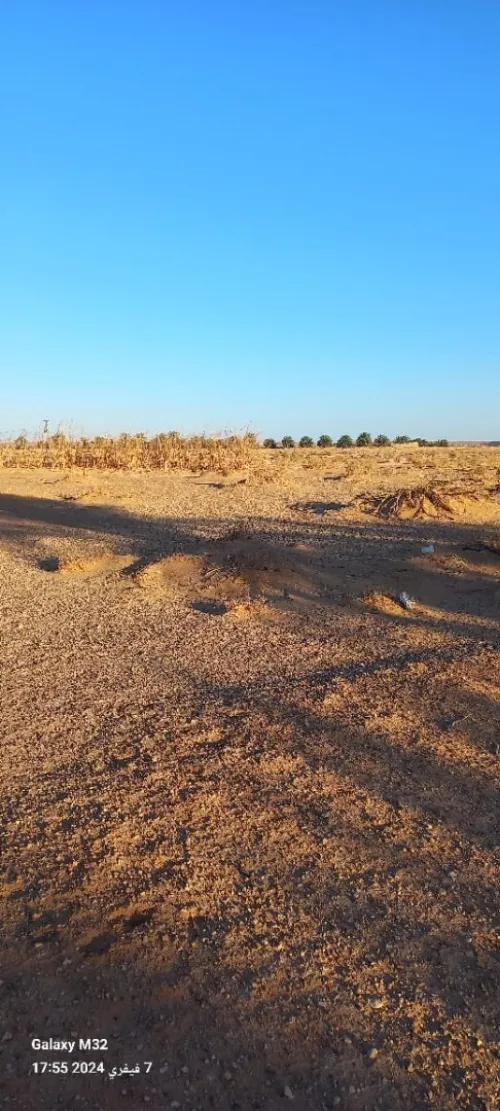Vente Terrain Agricole Timimoun Aougrout
