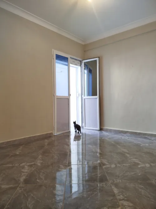 Location Appartement F4 Alger Rais hamidou